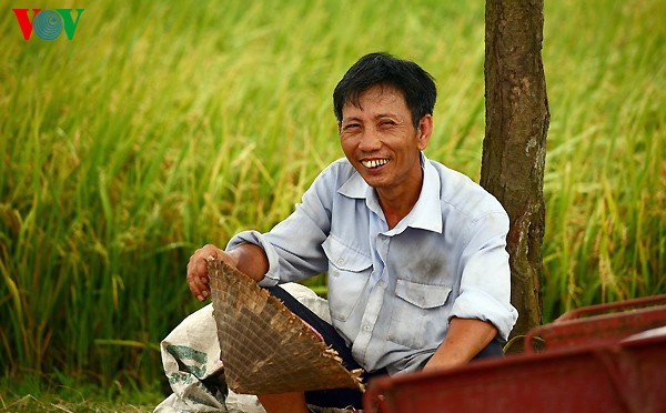 Ancient village at harvest time  - ảnh 9